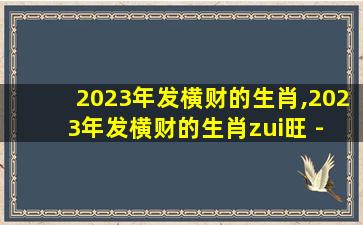 2023年发横财的生肖,2023年发横财的生肖zui
旺 - 万 🐴 年历